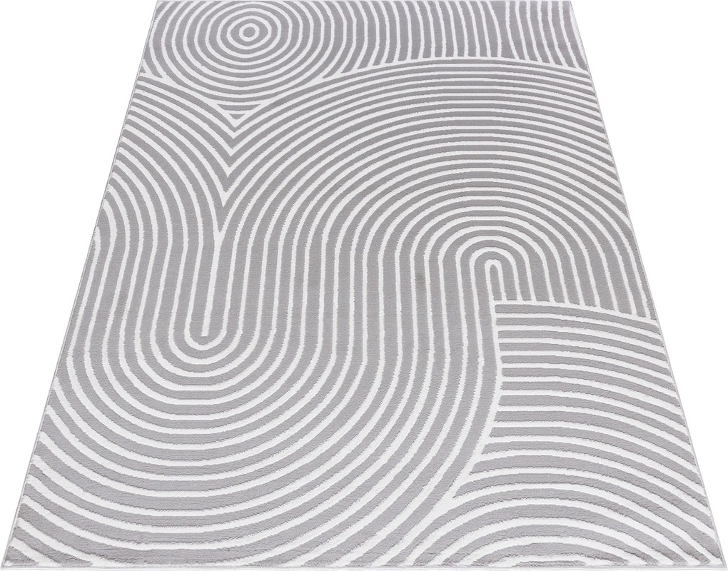 TA Koberec NG83B GRAY/WHITE ELLEN Sivý Obdĺžnikový Rozmer: 160x230 cm
