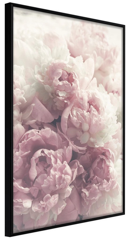 Artgeist Plagát - Delicate Peonies [Poster] Veľkosť: 40x60, Verzia: Zlatý rám