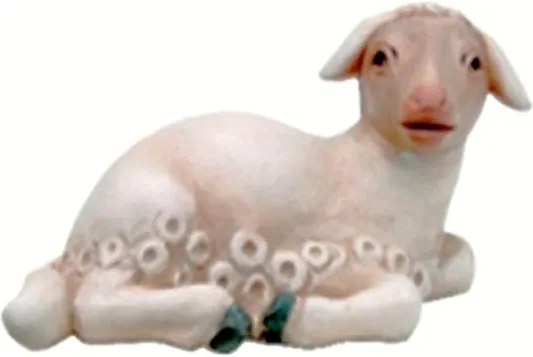 Nativity Animals -  Lamb