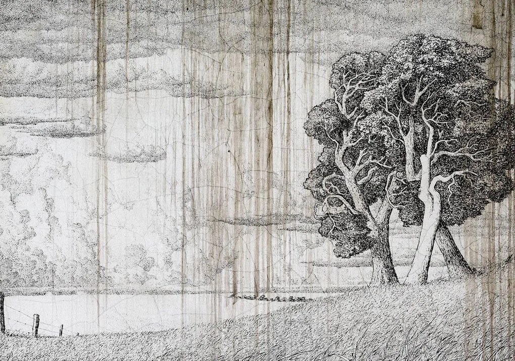 Fototapeta - Strom - starý papier (254x184 cm)