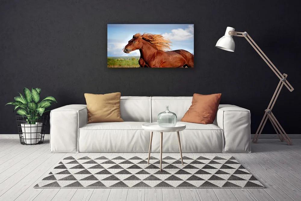 Obraz na plátne Kôň zvieratá 125x50 cm