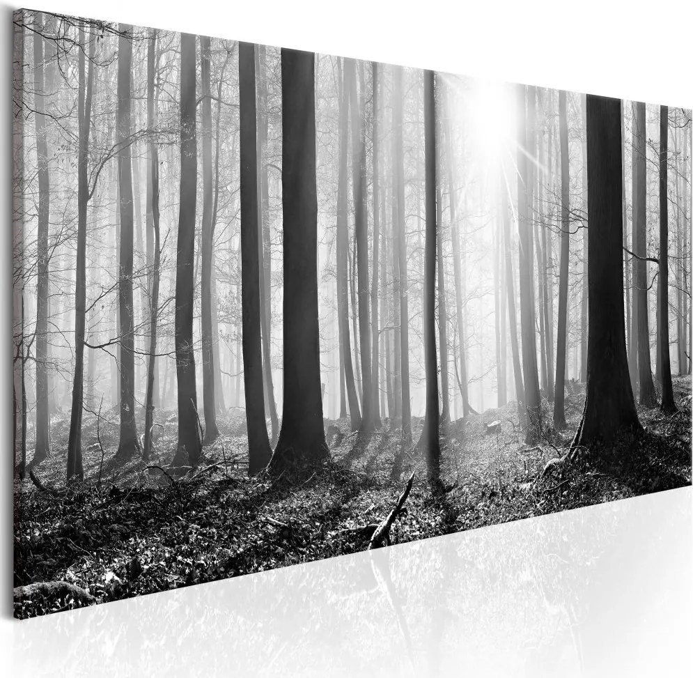 Obraz na plátne Bimago - Black and White Forest 150x50 cm