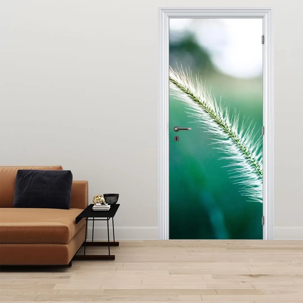 Fototapeta na dvere - Steblo trávy (95x205cm)