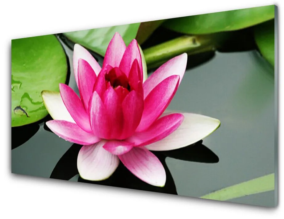 Obraz plexi Kvet rastlina príroda 140x70cm