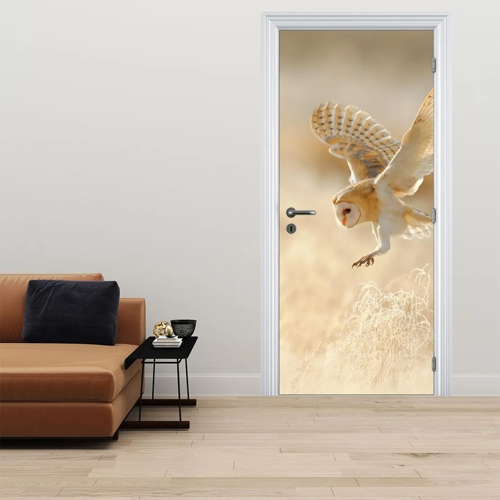 Fototapeta na dvere - Plamienka driemavá (95x205cm)