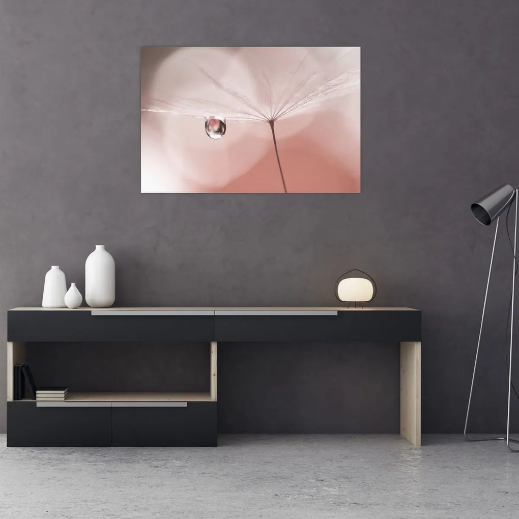 Obraz - Kvapka rosy (90x60 cm)