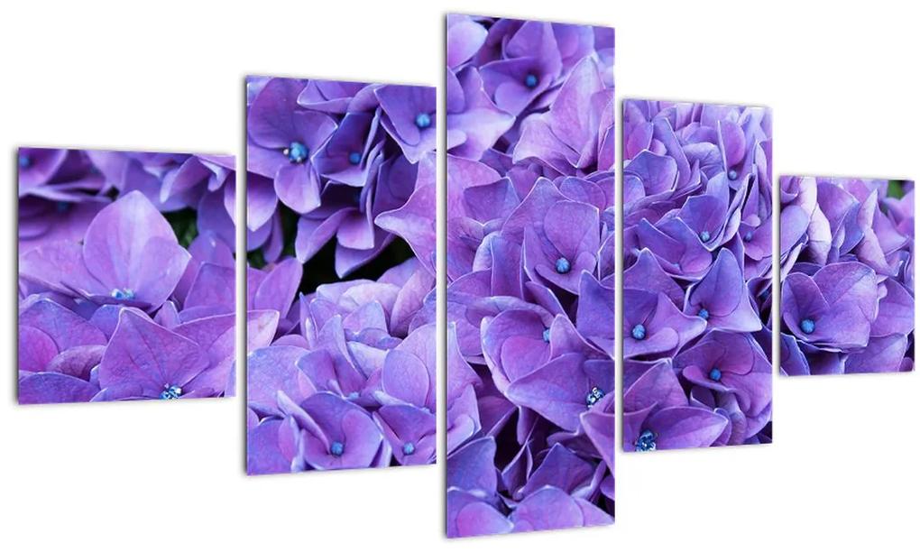 Obraz fialových kvetov (125x70 cm), 40 ďalších rozmerov