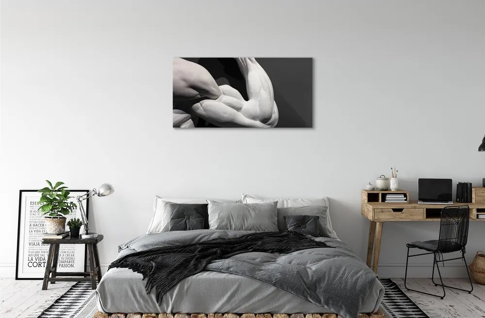 Obraz canvas Sval black and white 140x70 cm