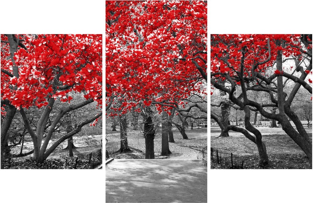 Obraz - Červené stromy, Central Park, New York (90x60 cm)