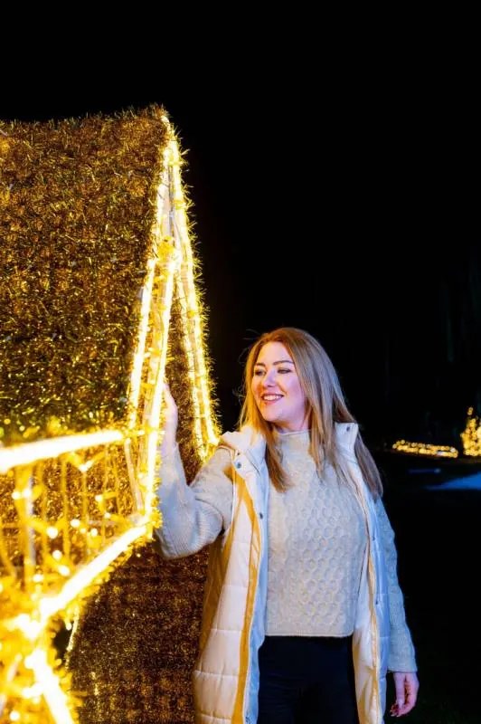 DECOLED LED světelná brána hvězda teple bílá 510 × 410 × 75 cm, 36 V, příkon 95,2 W, ze 4 dílů