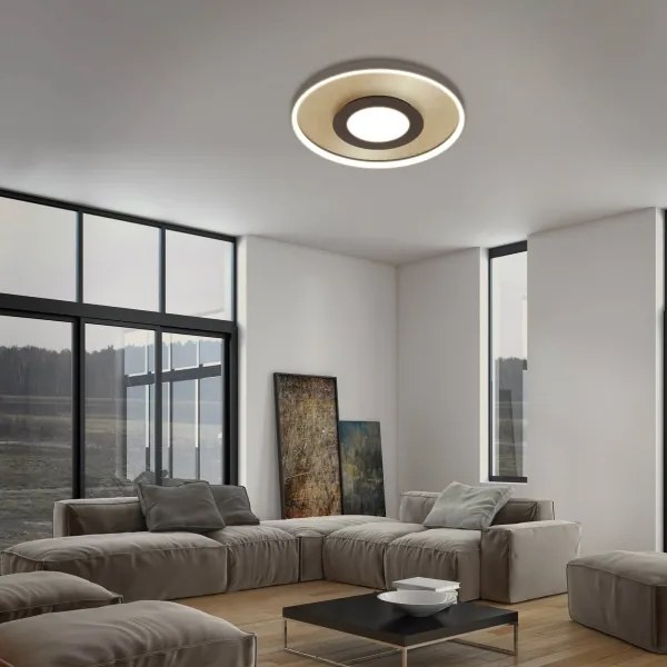 Briloner 3640017 - LED Stmievateľné stropné svietidlo LED/25W/230V 2700-6500K + DO