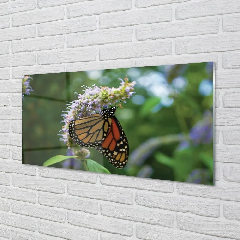 Sklenený obraz Kvet farebný motýľ 140x70 cm