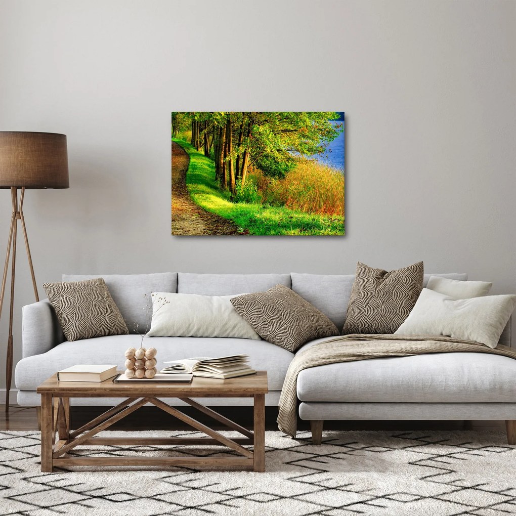 Obraz chodníky pozdĺž vody (70x50 cm)