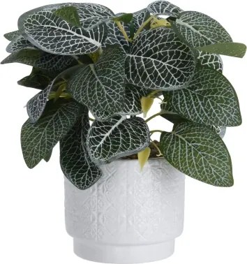 Umelá rastlina v kvetináči 28 cm, bielo-zelené listy%