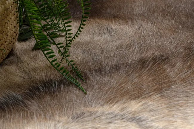 Koberec RENIFER POK010 hnedý