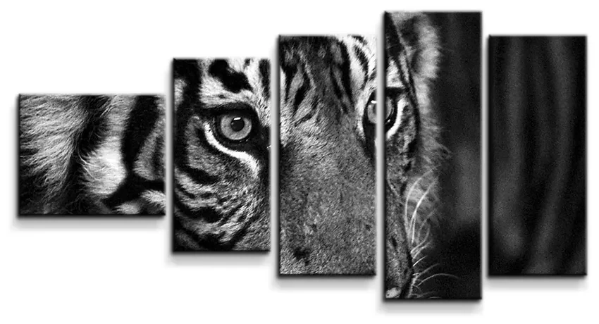 Sablio Obraz - 5-dílný Čiernobiely tiger - 100x60 cm