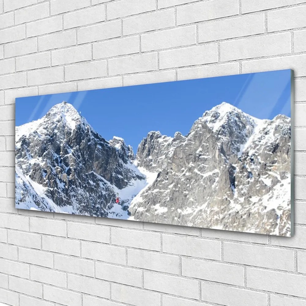 Obraz plexi Hora sneh príroda 125x50 cm