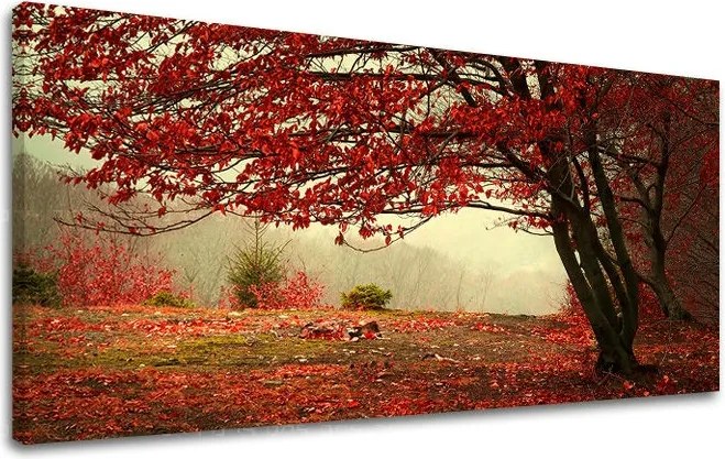 Obraz na stenu PANORÁMA STROMY ST017E13