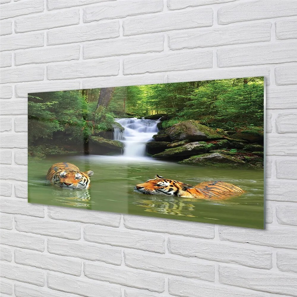 Sklenený obraz vodopád tigre 125x50 cm