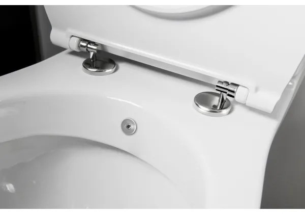 Sapho - WC kombi s bidetovou sprškou, zadné odpadové pripojenie, keramika/biela