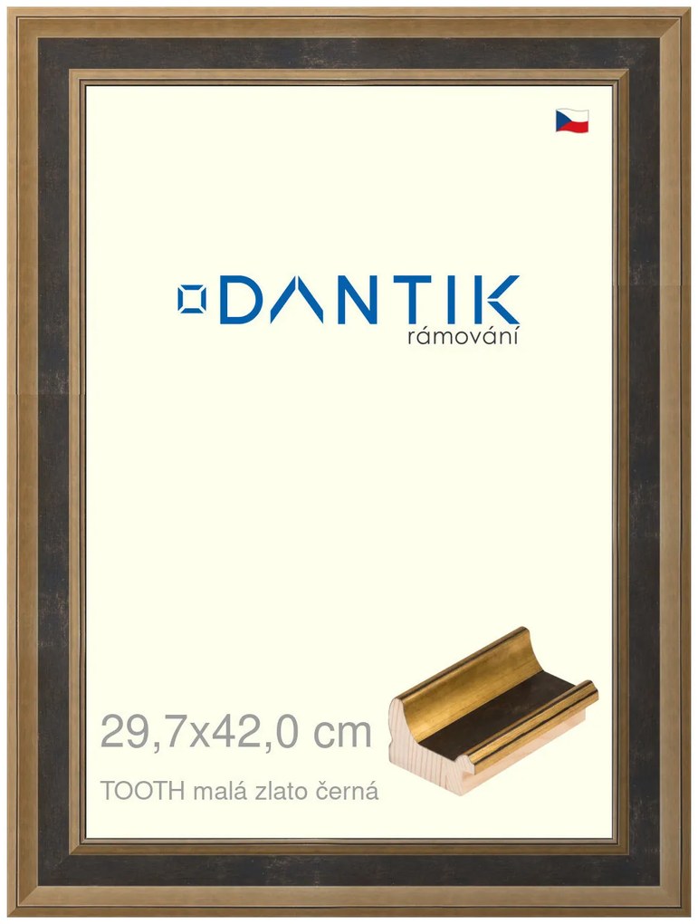 DANTIK rám na obraz 29,7x42 | TOOTH malá zlato černá (Plexi Čiré)