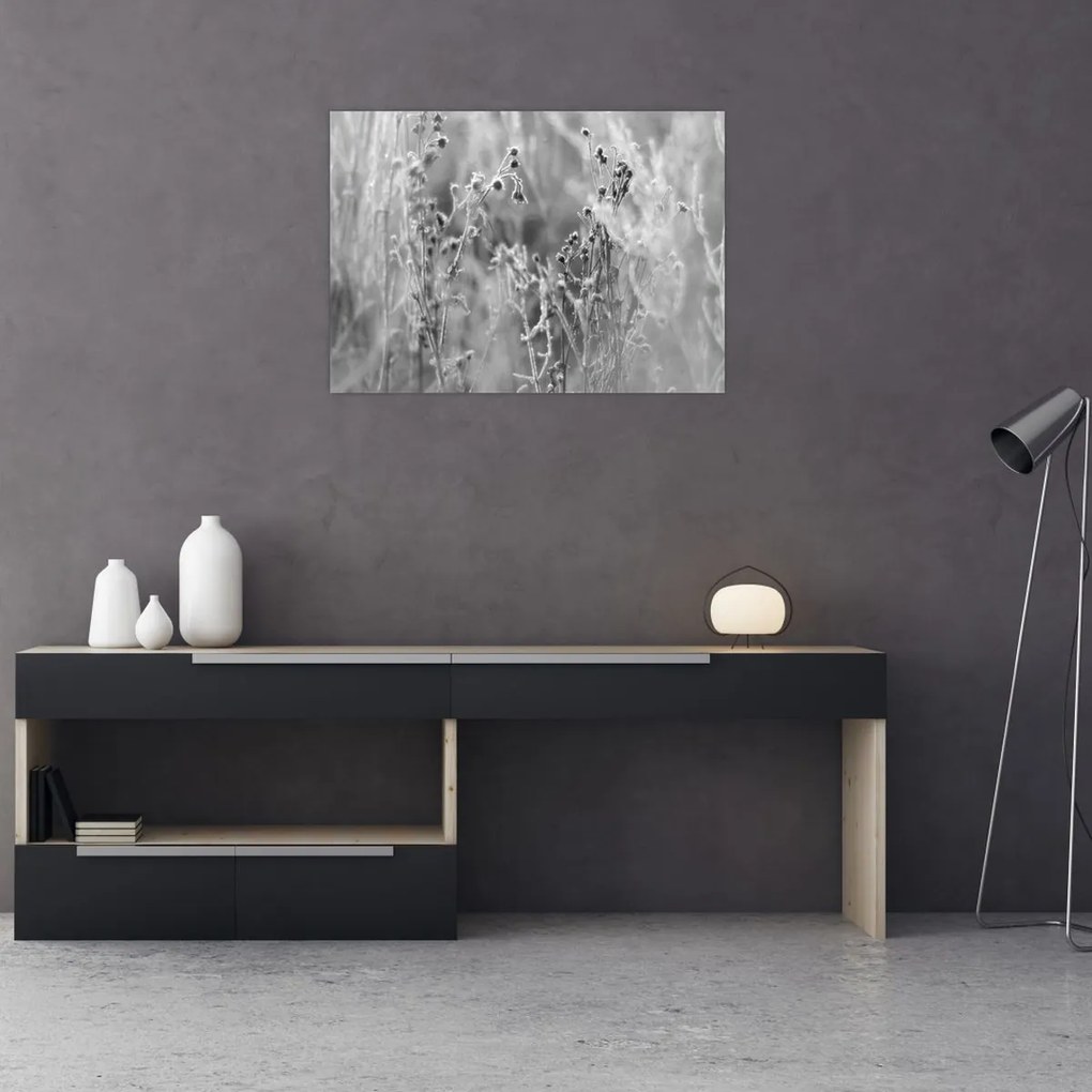 Obraz - Divoká lúka (70x50 cm)