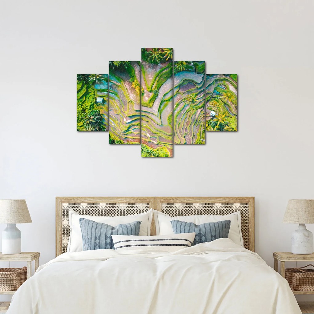 Obraz ryžových polí z vtáčej perspektívy (150x105 cm)