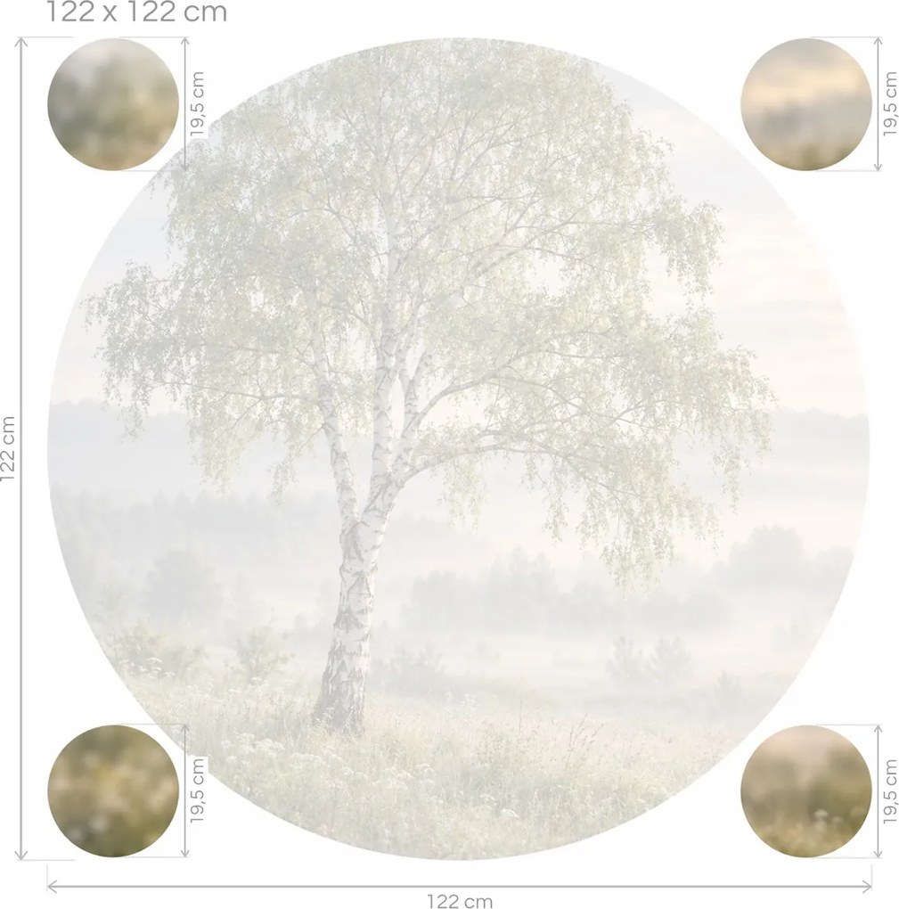 Breza v ranej hmle fotografické textilné nálepky na stenu do spálne arch 46 x 46 cm
