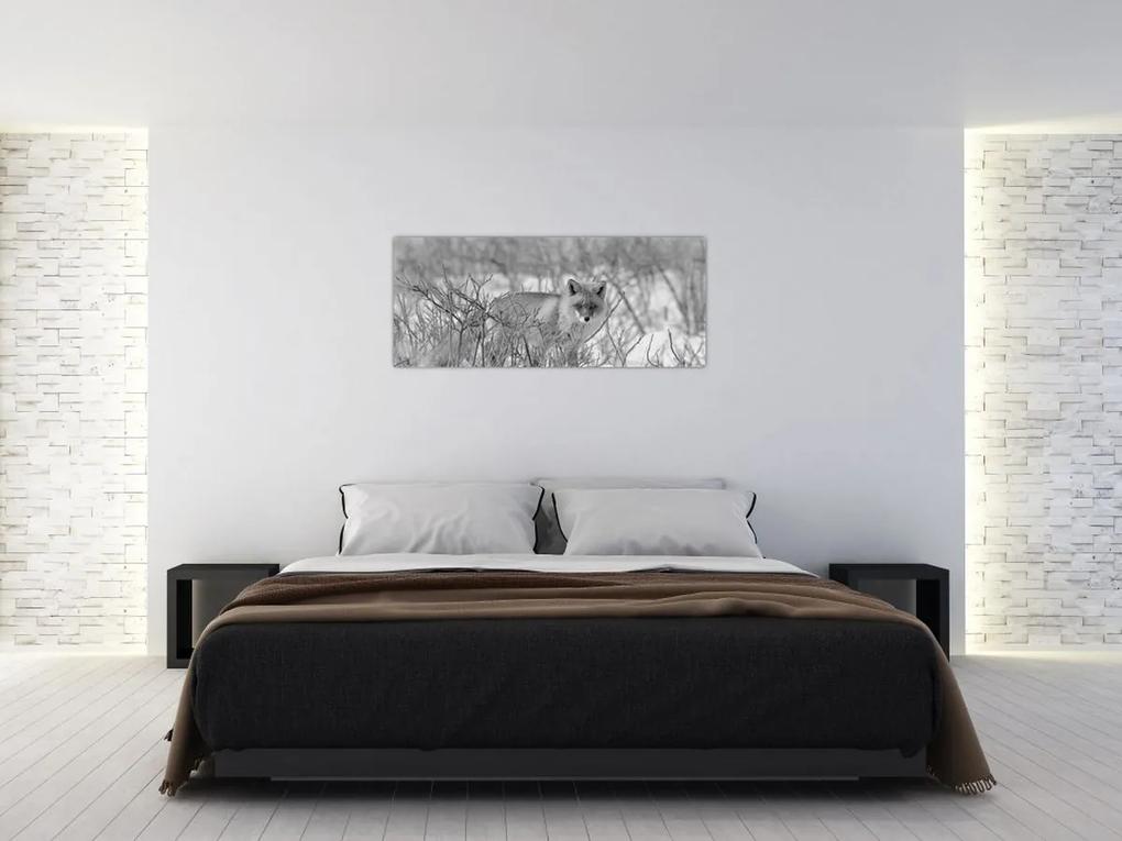 Obraz - Lišiak, čiernobiela (120x50 cm)