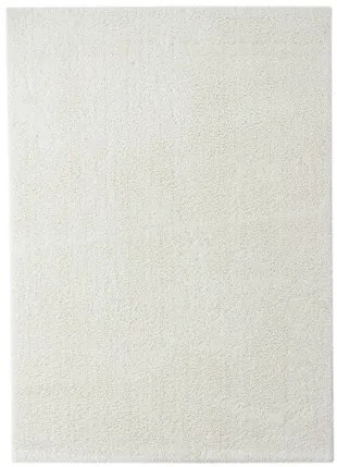 Koberce Breno Kusový koberec DOLCE VITA 01/WWW, biela,67 x 110 cm