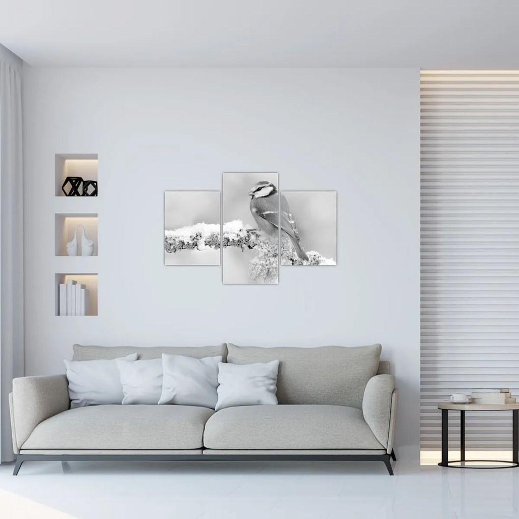 Obraz - Vtáčik na vetve (90x60 cm)