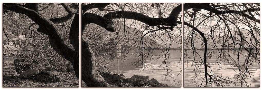 Obraz na plátne - Jeseň pri jazere - panoráma 5198QC (120x40 cm)