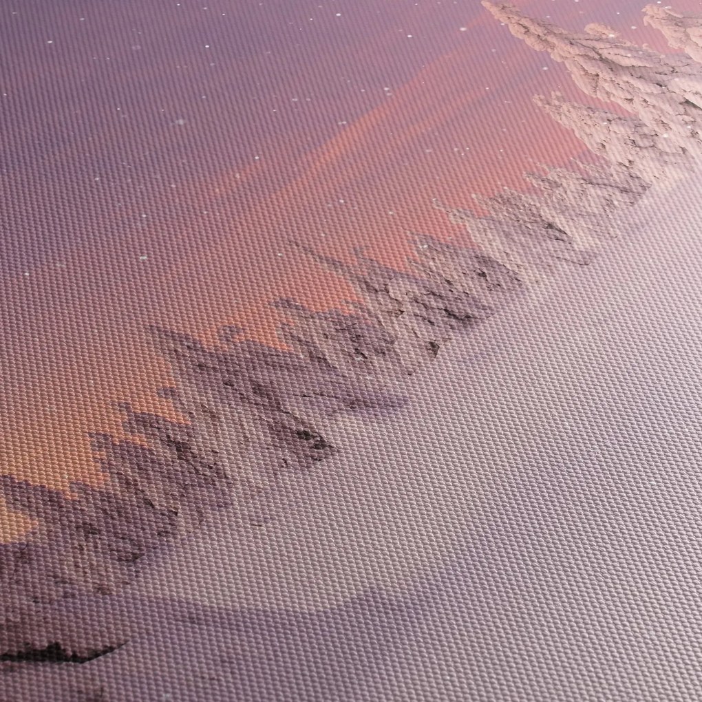 Obraz - Stromy pod snehovou prikrývkou (150x105 cm)