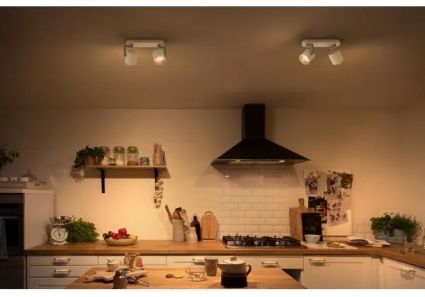 Philips 50672/31/P0 - LED Stmievateľné bodové svietidlo BYRL 2xLED/4.5W/230V