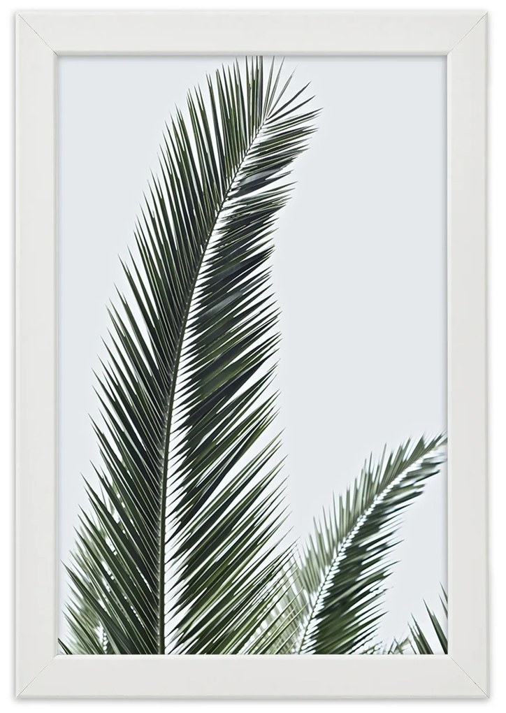 Gario Plagát Detailný záber na palmové listy Farba rámu: Bez rámu, Rozmery: 40 x 60 cm