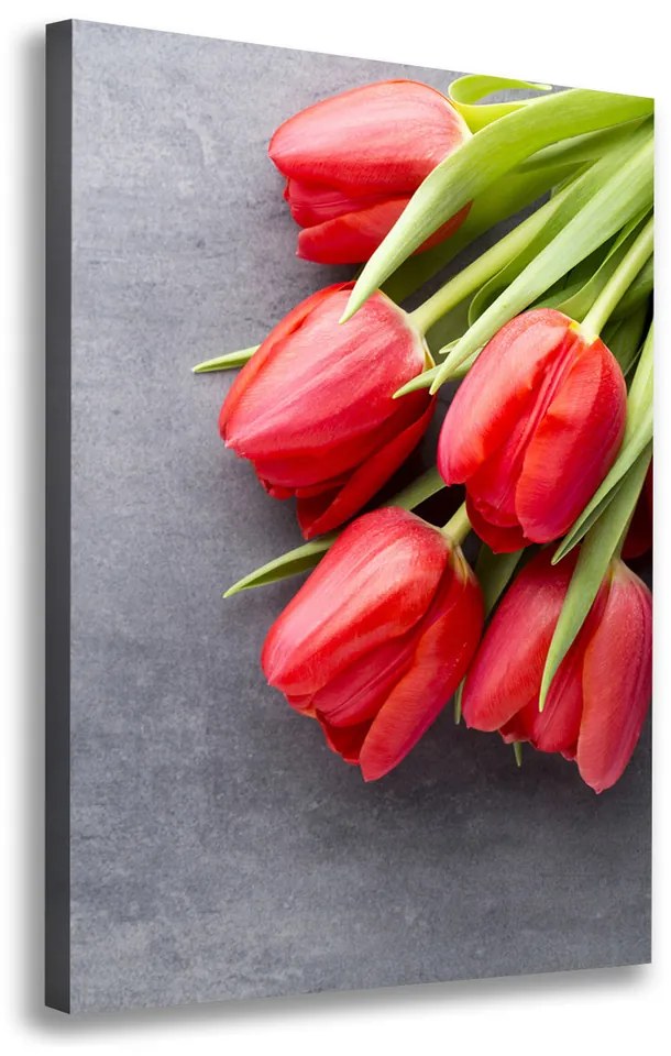 Foto obraz na plátne Červené tulipány pl-oc-70x100-f-99719823