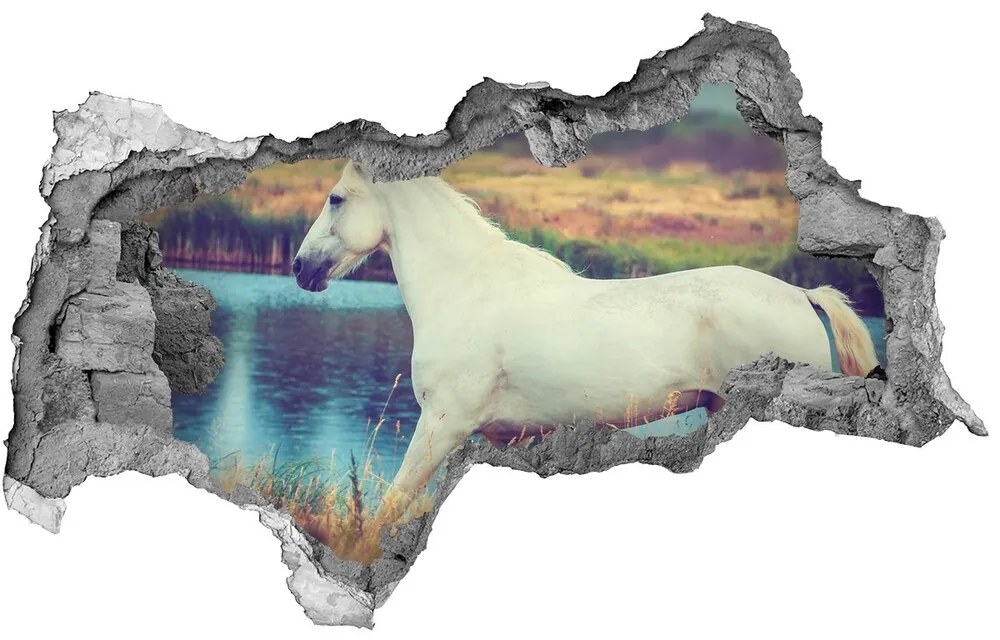 Diera 3D fototapeta nálepka White horse lake nd-b-87150545