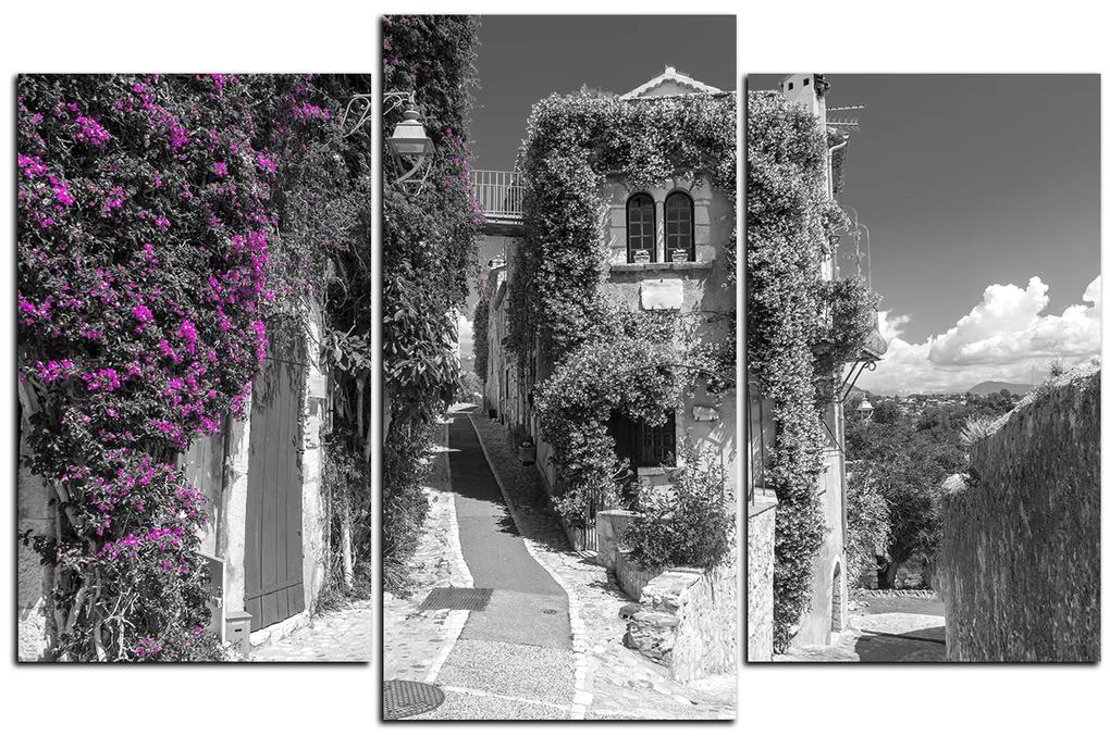 Obraz na plátne - Krásna architektúra v Provence 1236QC (105x70 cm)