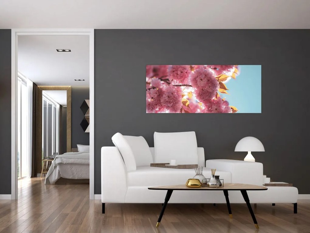 Obraz - Čerešňový kvet (120x50 cm)