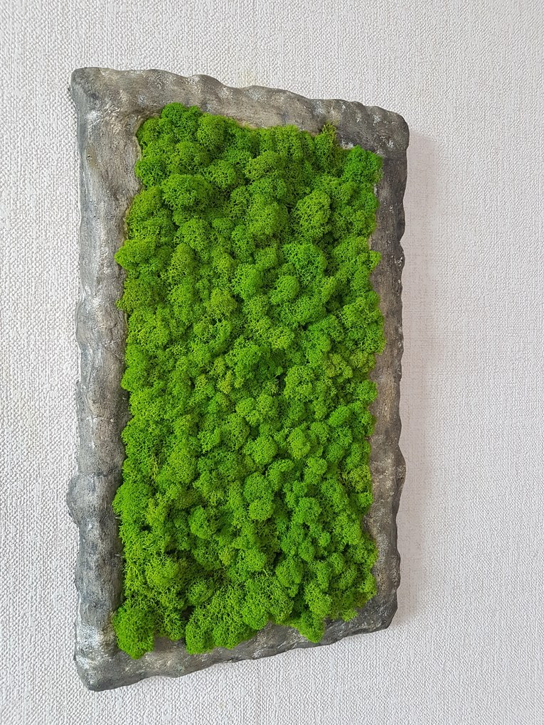 Machový obraz s atypickým rámom 50 cm x 35 cm