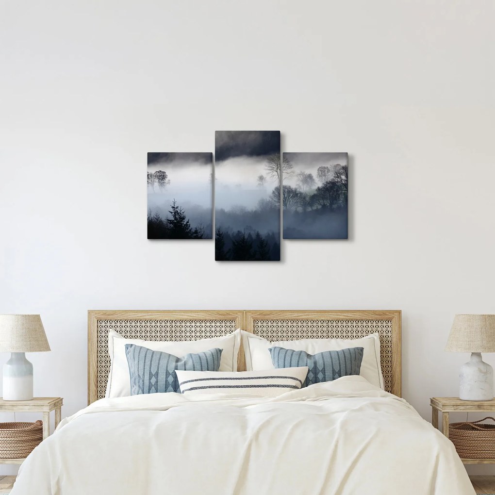 Obraz hmly nad lesom (90x60 cm)