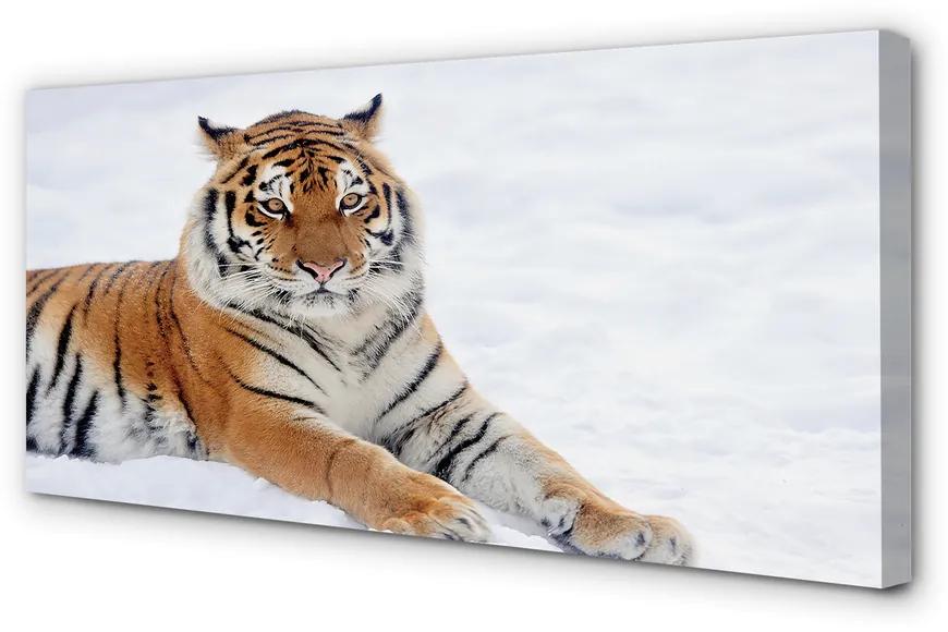 Obraz na plátne Tiger winter 120x60 cm