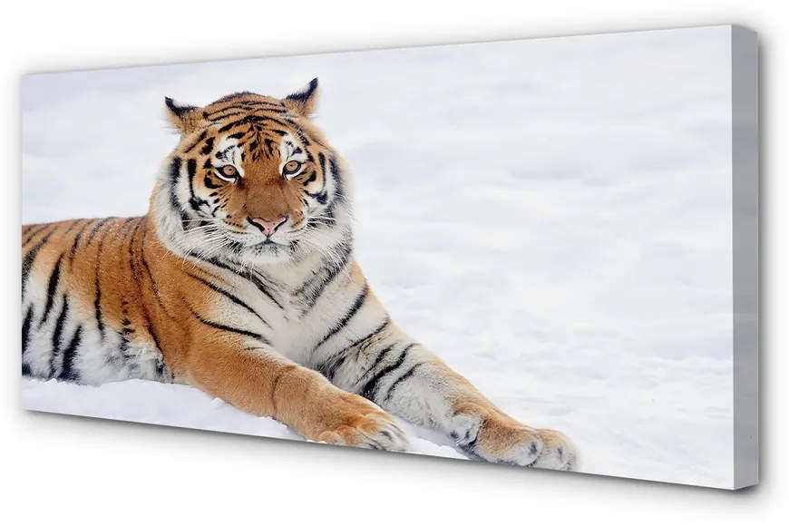 Obraz na plátne Tiger winter 125x50 cm