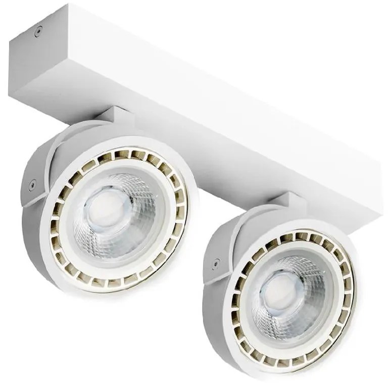 Stropné svietidlo AZZARDO JERRY 2 230V LED white AZ1371