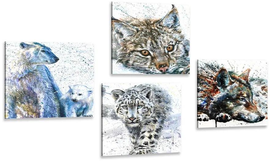 Set obrazov zvieratá v zaujímavom akvarelovom prevedení - 4x 60x60