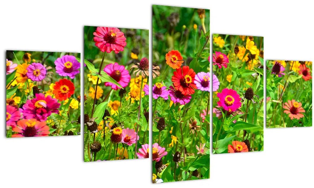 Obraz lúčnych kvetov (125x70 cm), 40 ďalších rozmerov