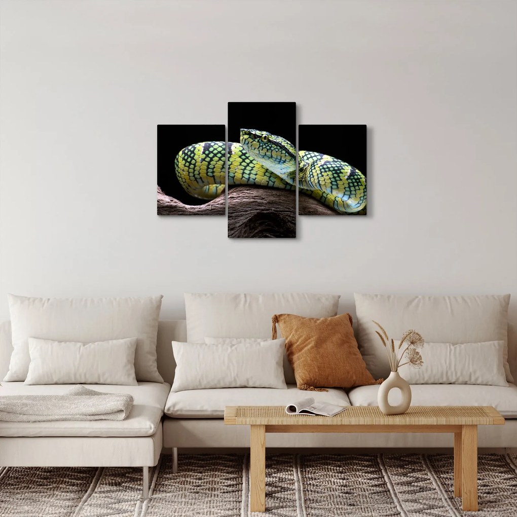 Obraz - Štrkáč Waglerov (90x60 cm)