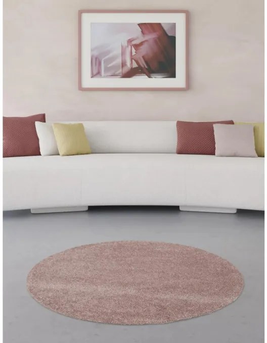 Koberec EASY CARE 181-020 ružový kruh