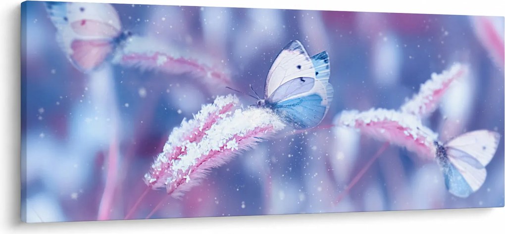 Obraz - Motýle v zime (120x50 cm)