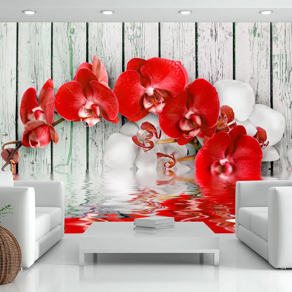 Artgeist Fototapeta - Ruby orchid Veľkosť: 147x105, Verzia: Samolepiaca